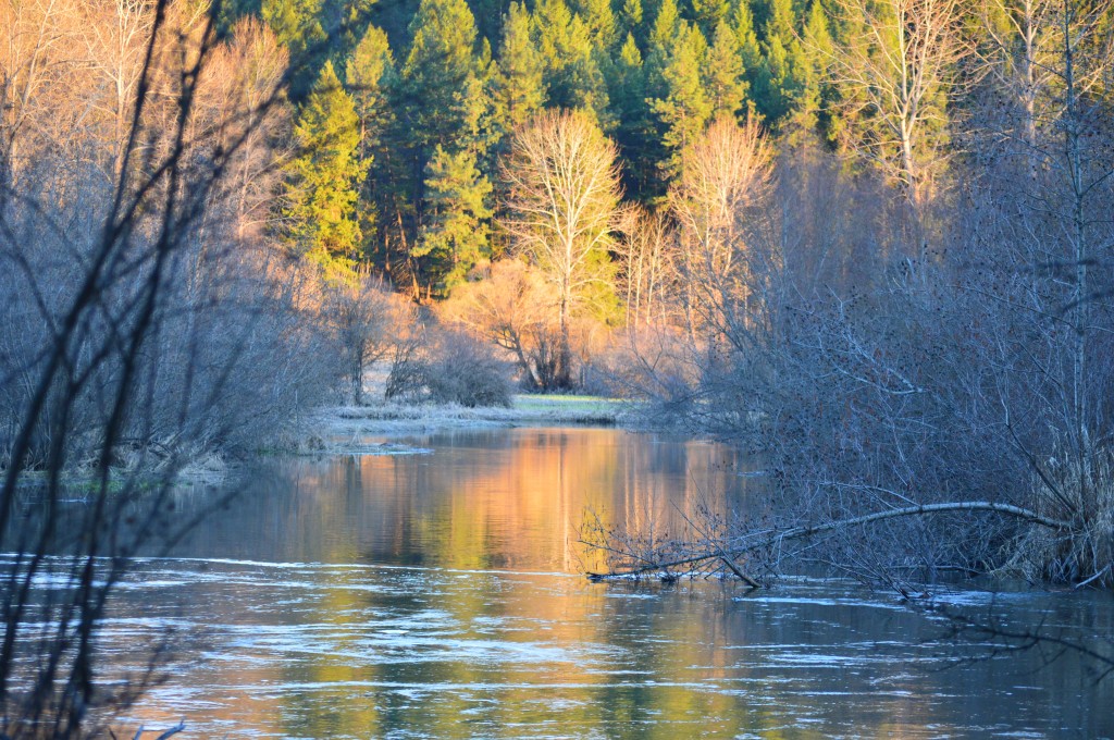 Little Spokane River and Reflections