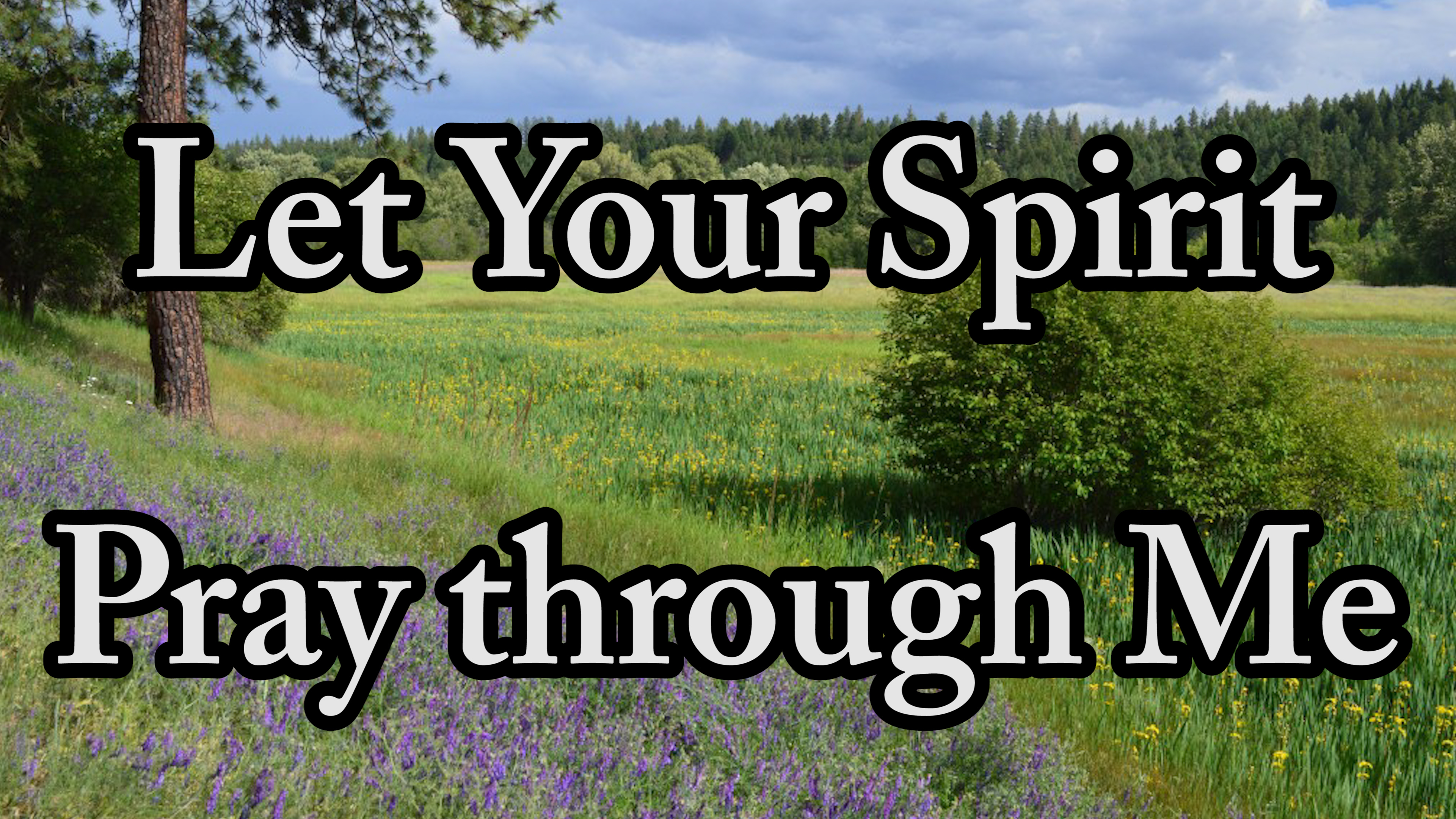 Let Your Spirit Pray through Me
